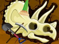 Fossil Discovery Quest