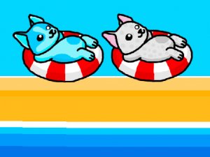 Aqua Doggy Water Park Adventure