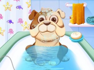 Animal Daycare Kids Pet Care