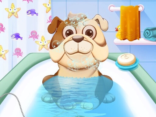 Animal Daycare Kids Pet Care