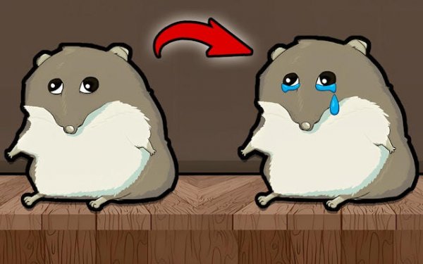 Hamster Evolution Clicker Arcade