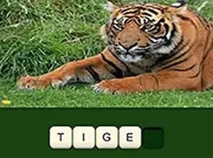 Zoo Trivia Quiz Game Word Puzzle