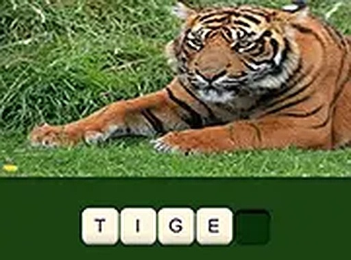 Zoo Trivia Quiz Game