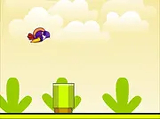 Birdy Bird Online Game